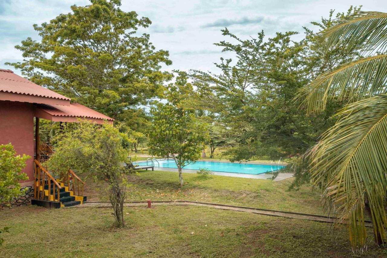 Yala Peace Cottages Тіссамахарама Екстер'єр фото