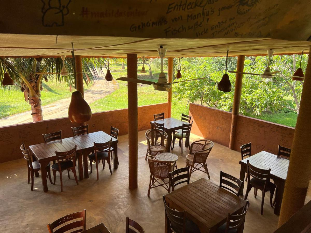 Yala Peace Cottages Тіссамахарама Екстер'єр фото