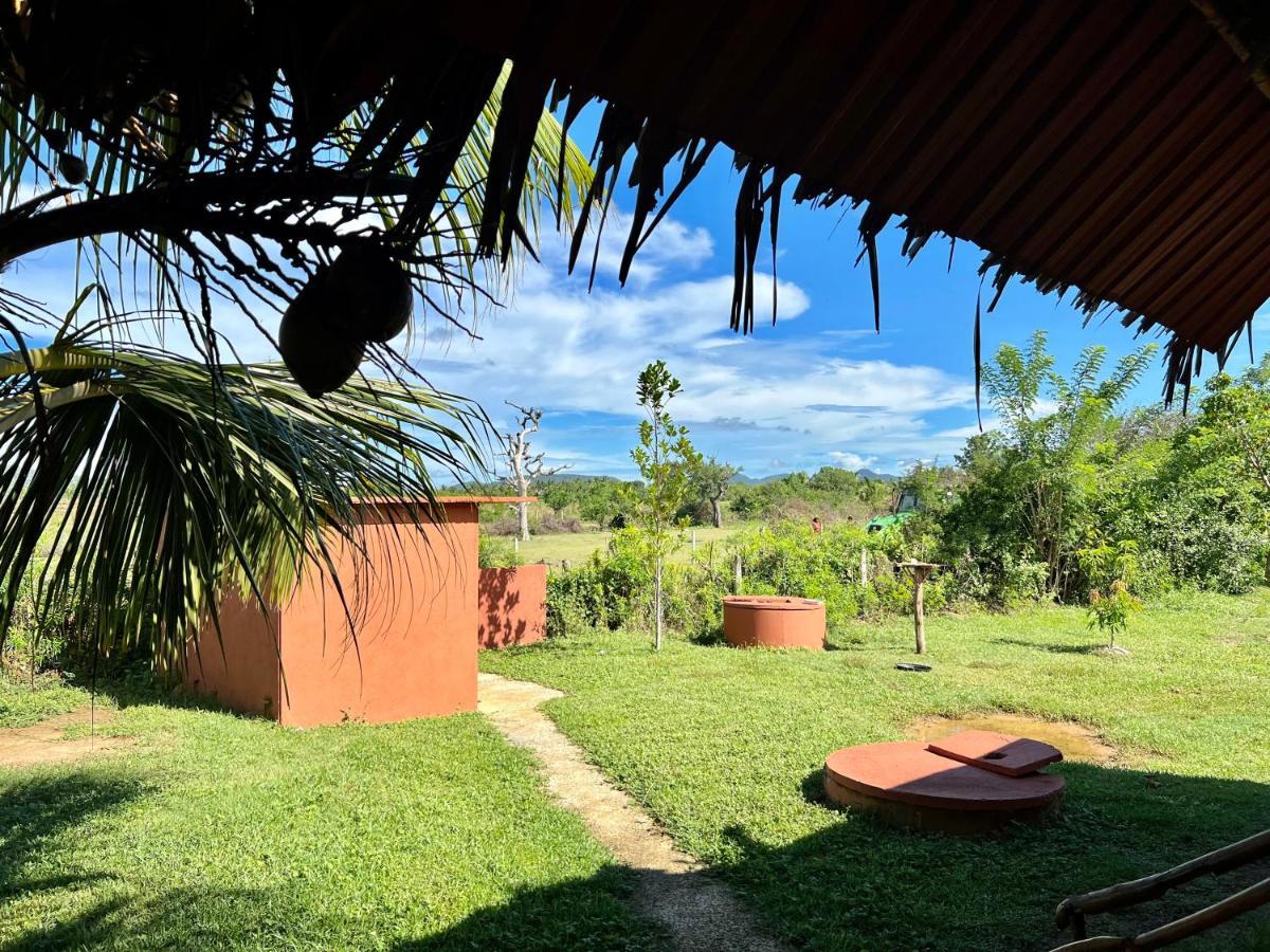 Yala Peace Cottages Тіссамахарама Екстер'єр фото