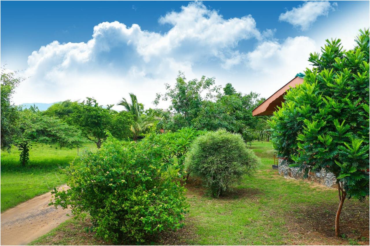 Yala Peace Cottages Тіссамахарама Екстер'єр фото