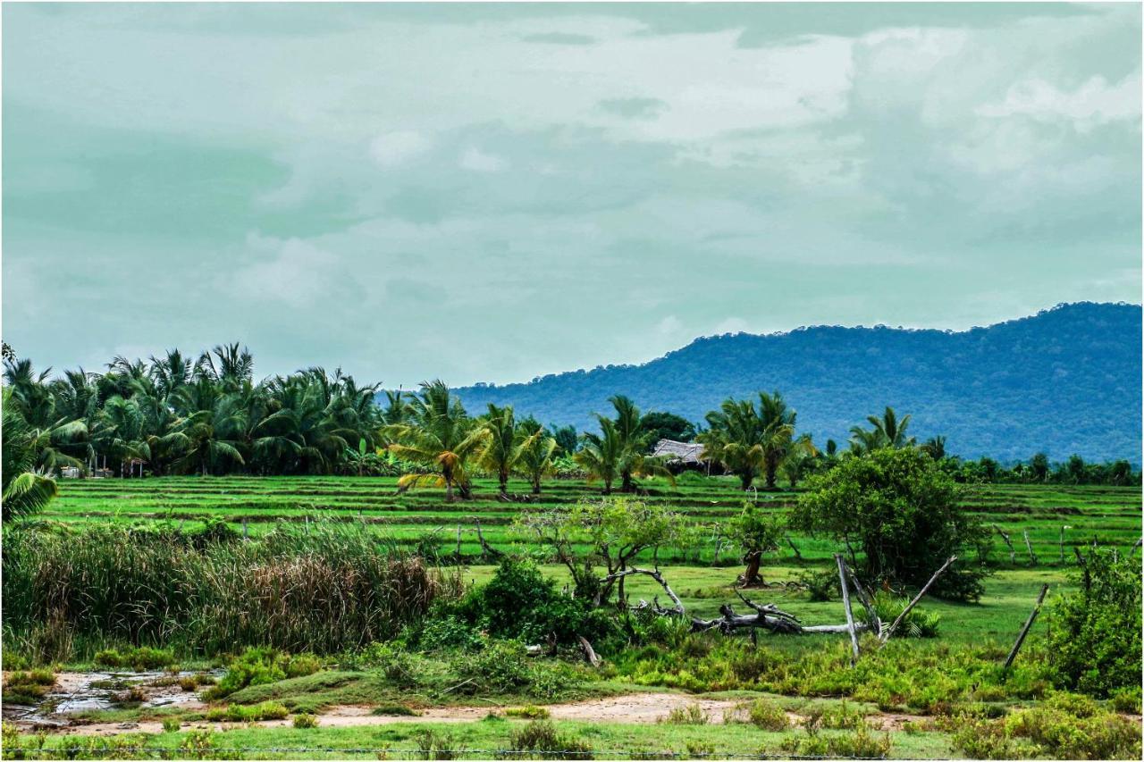 Yala Peace Cottages Тіссамахарама Екстер'єр фото