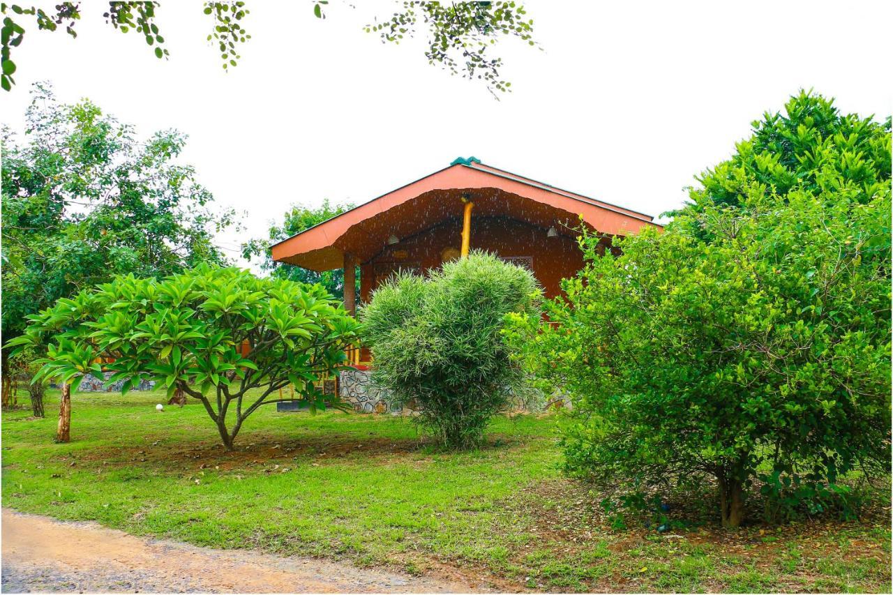 Yala Peace Cottages Тіссамахарама Екстер'єр фото